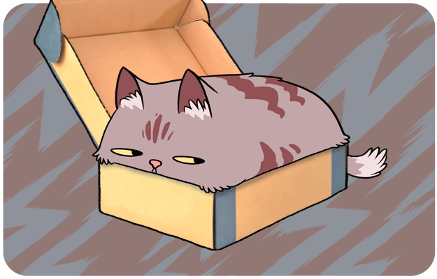 Katė dėžutėje