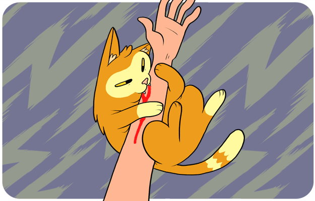 Katė įkando ranką