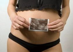 embrio 16 minggu