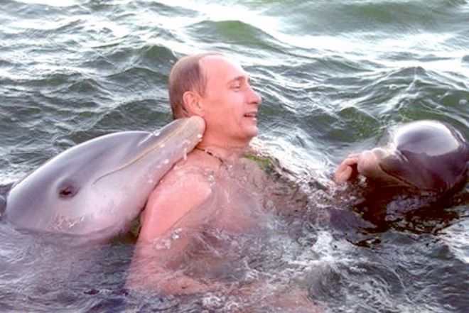 Putin dan lumba-lumba
