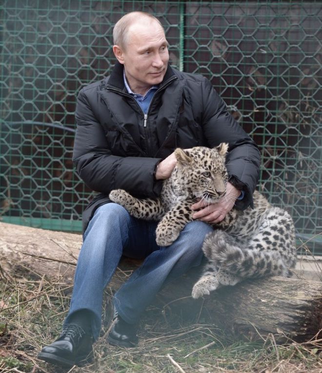 Putinas ir lūšis