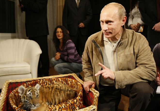 Putinas ir Tigras