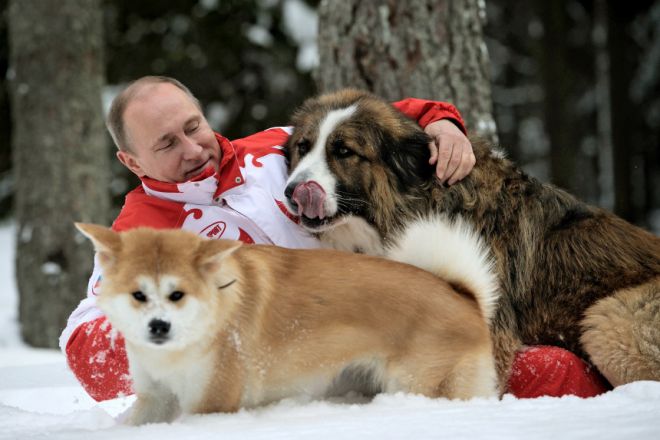 Putinas ir šunys