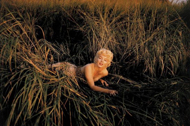 Marilyn nell'erba