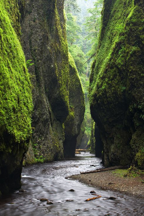 Oneonta Gorge, Oregon 2