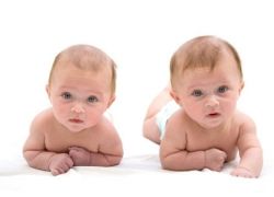 31 minggu kehamilan kembar