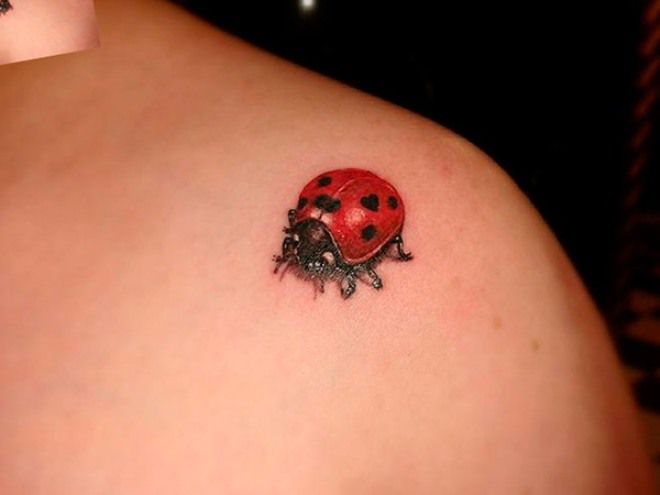 tatu ladybug
