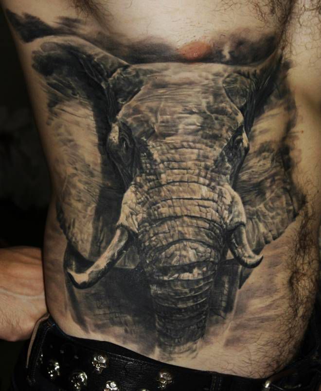 gajah tatu