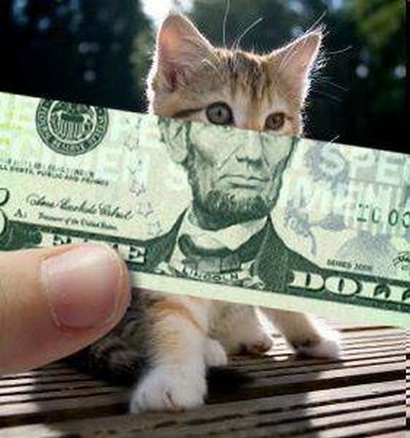 Lincoln dan kucing itu