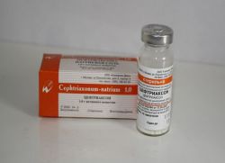 Ceftriaxone antibiotik