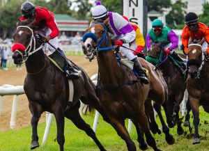 バルバドスの競馬