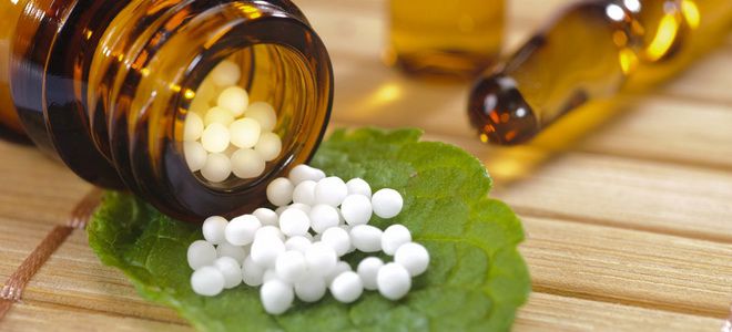 indikasi homeopati berberis untuk digunakan