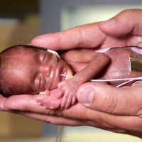 gravidanza sviluppo di 28 settimane del feto