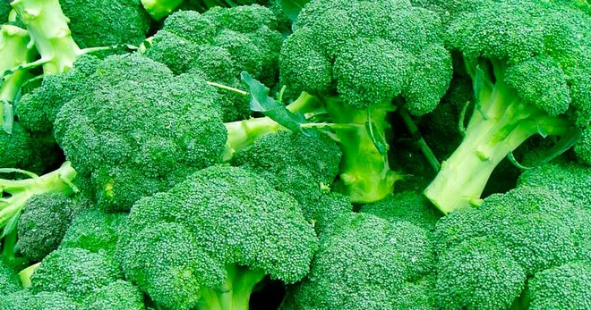 Brokoliai - auga, gero derliaus taisyklės