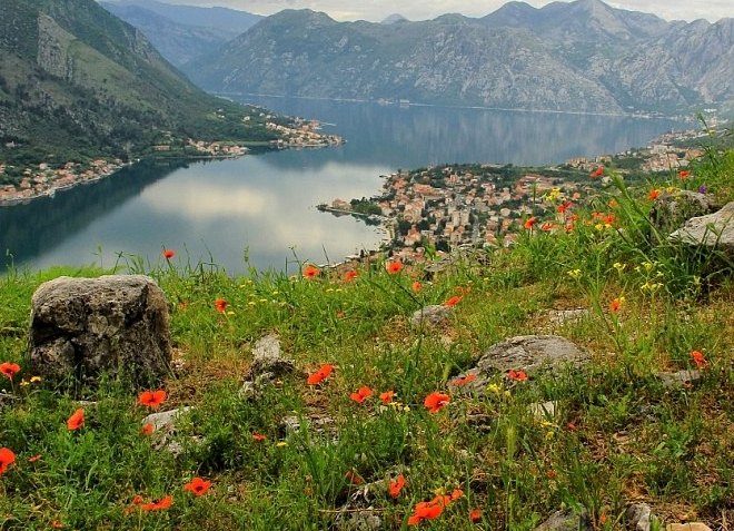Montenegro pada musim bunga
