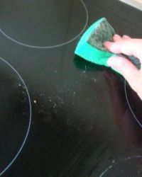 Detergente sgrassatore di insetti