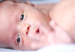 Warna mata pada bayi baru lahir