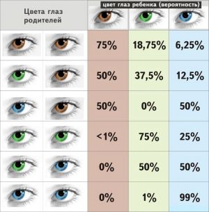 akių spalva vaiko genetikoje