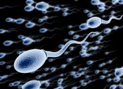 Normale colore dello sperma