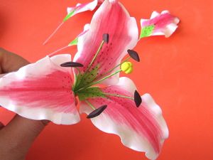 Gėlės iš Foamirano - meistrų klasė22