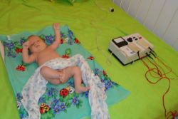 elektroforesis bayi
