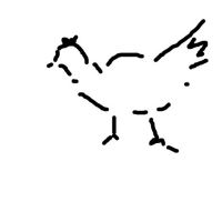 ayam