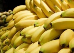 Kuriuose šalyse auga bananai