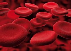 norma hemoglobin pada kanak-kanak