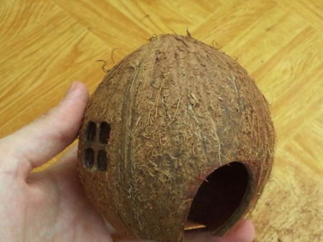 Case per un criceto di cocco