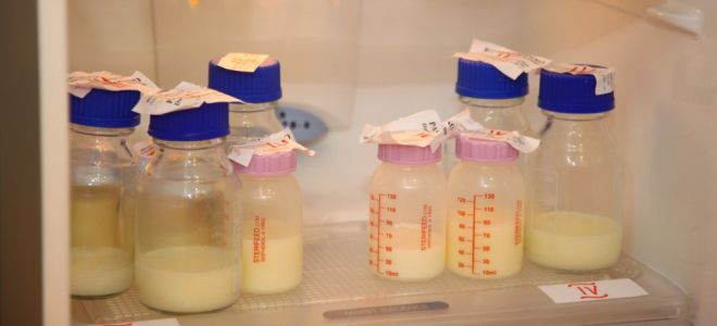 regole per la conservazione del latte materno