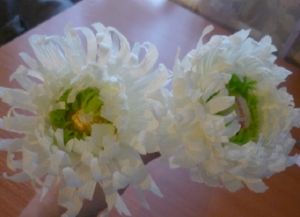 Chrysanthemums kertas bergelombang15