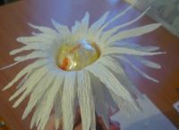 Chrysanthemums kertas bergelombang7