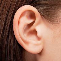 apa gatal-gatal kepada telinga