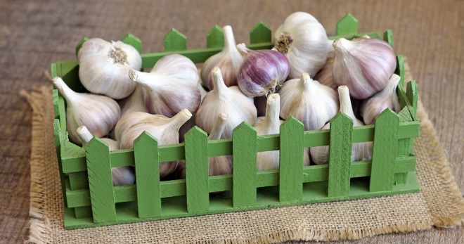 Come conservare l'aglio: i modi migliori per risparmiare a casa