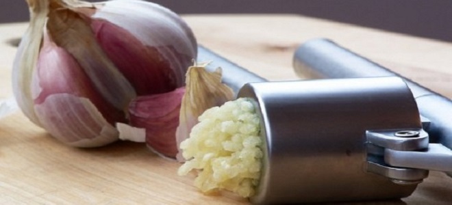 come conservare l'aglio
