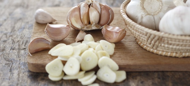 come conservare l'aglio
