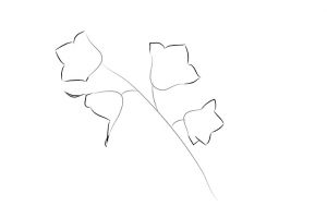 ステージ3で花を描く方法