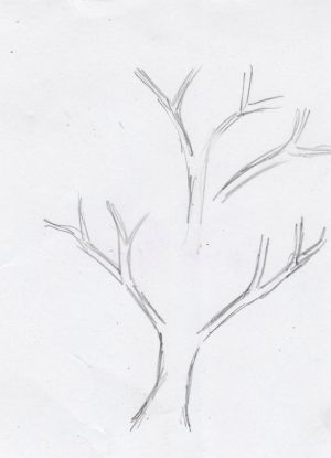 Как нарисовать дерево 10