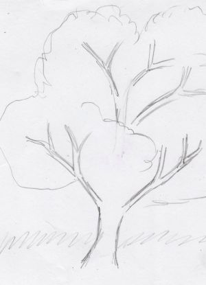 Как нарисовать дерево 11