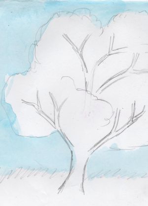 Come disegnare un albero 12