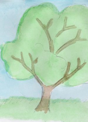Come disegnare un albero 14