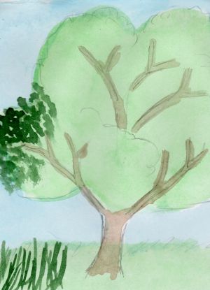 Как нарисовать дерево 15