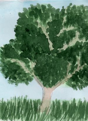 Как нарисовать дерево 16