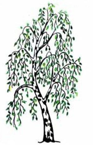 Как нарисовать дерево 5