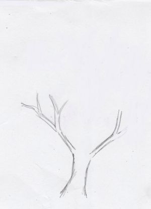Как нарисовать дерево 9
