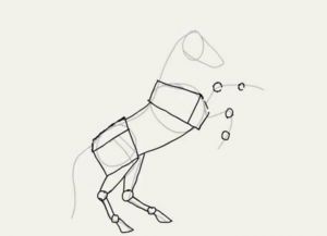 come disegnare un cavallo a matita passo dopo passo 15