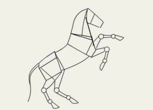bagaimana untuk menarik kuda dalam langkah pensel dengan langkah 17