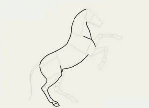 kaip piešti arklys pieštuku žingsnis po žingsnio 18