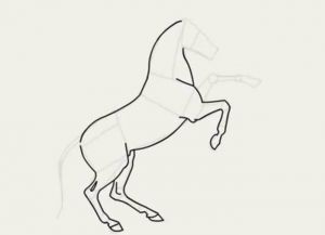 bagaimana untuk menarik kuda dalam langkah pensel dengan langkah 19