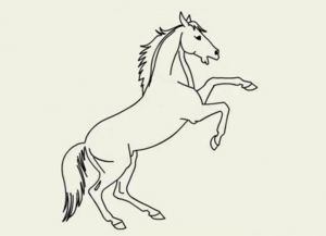 bagaimana untuk menarik kuda dalam langkah pensil dengan langkah 21